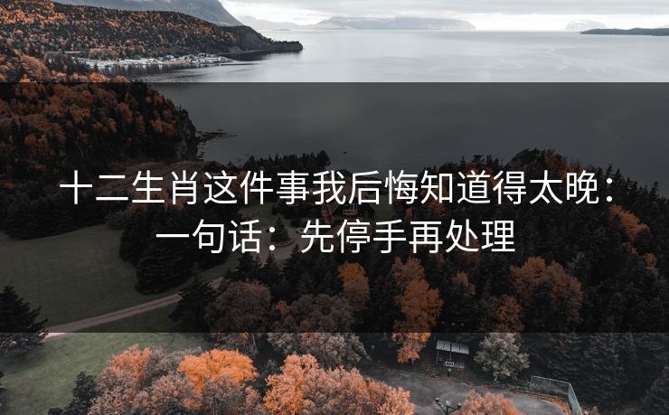 十二生肖这件事我后悔知道得太晚:一句话:先停手再处理 十二生肖这件事我后悔知道得太晚:一句话:先停手再处理