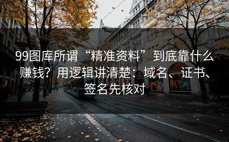 99图库所谓“精准资料”到底靠什么赚钱？用逻辑讲清楚：域名、证书、签名先核对