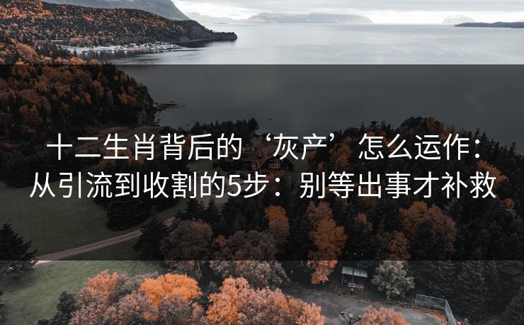十二生肖背后的‘灰产’怎么运作：从引流到收割的5步：别等出事才补救